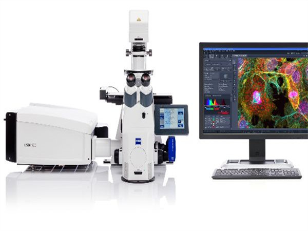 蔡司激光共聚焦显微镜- 运用Airyscan 2‍技术的LSM 980