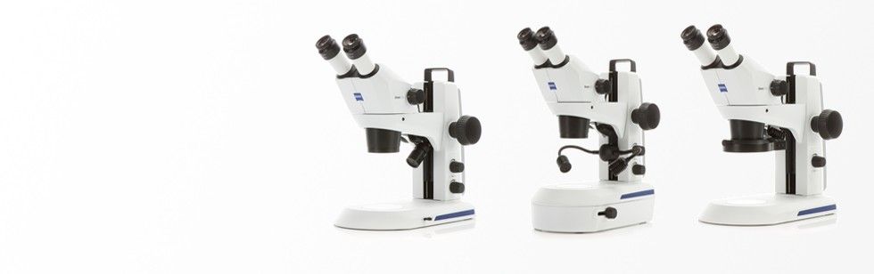 蔡司Stemi 305 拥有集成式照明和照相功能的高效实用型体视显微镜