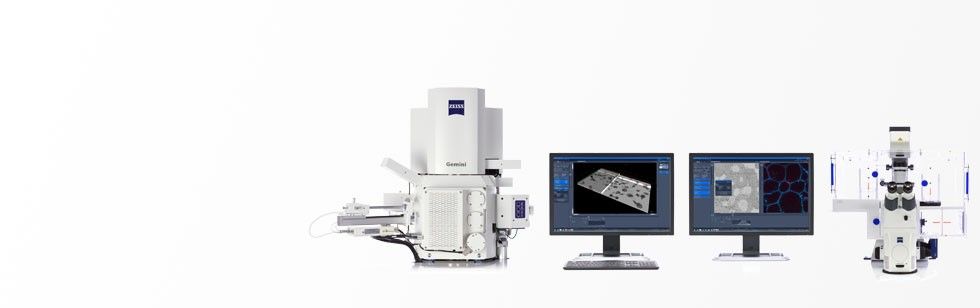 蔡司Shuttle & Find 关联显微镜技术的高效率